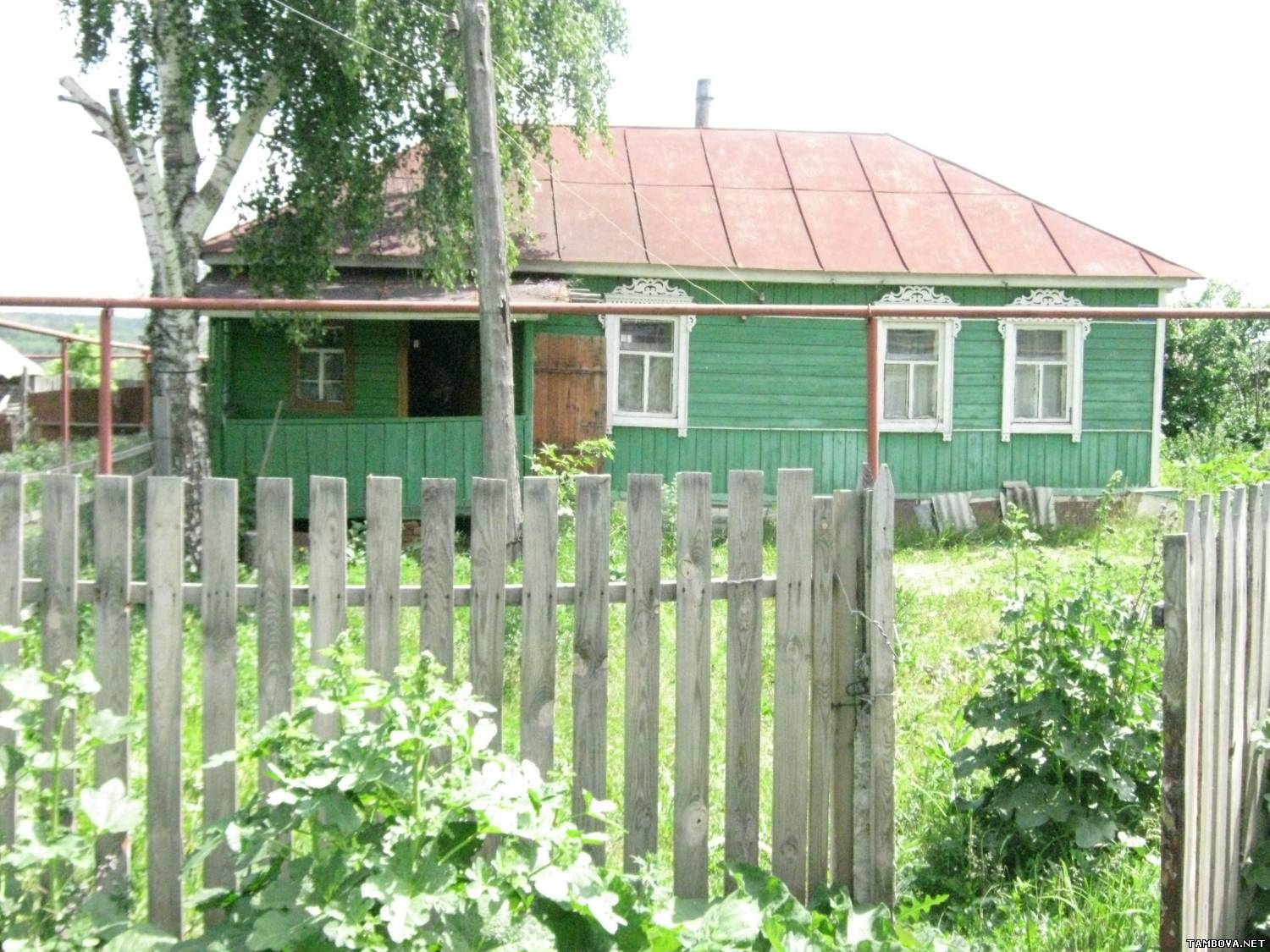 Село зеленое Тамбовской области Сосновского района