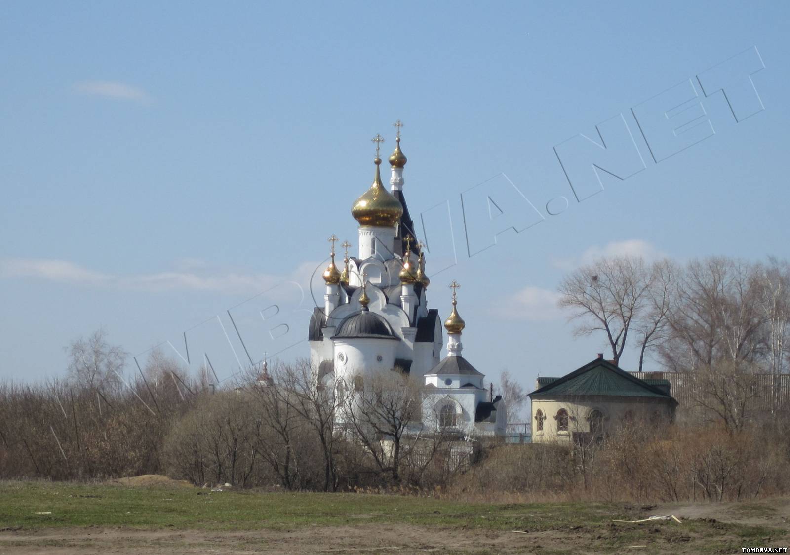 Тамбов село бокино. Церковь Николая Чудотворца в Бокино. Бокино Тамбовская область. Церковь в Бокино Тамбовская область. Бокино школа.